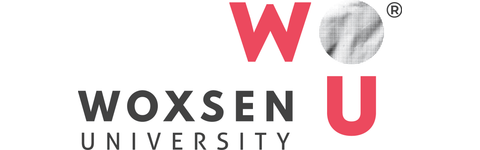 Woxsen University logo
